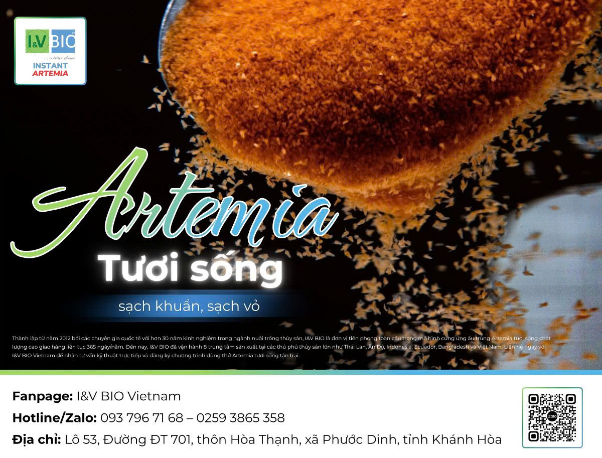 Artemia-tươi-sống-cho-tom-ca-thức-ăn-tươi-sống-cho-tôm-cá-giống-artemia-instart-1-Artemia-instart-energy-artemia-i-and-v-bio-vietnam-artemia-cho-tom-bo-me-cung-cap-artemia-tuoi-song