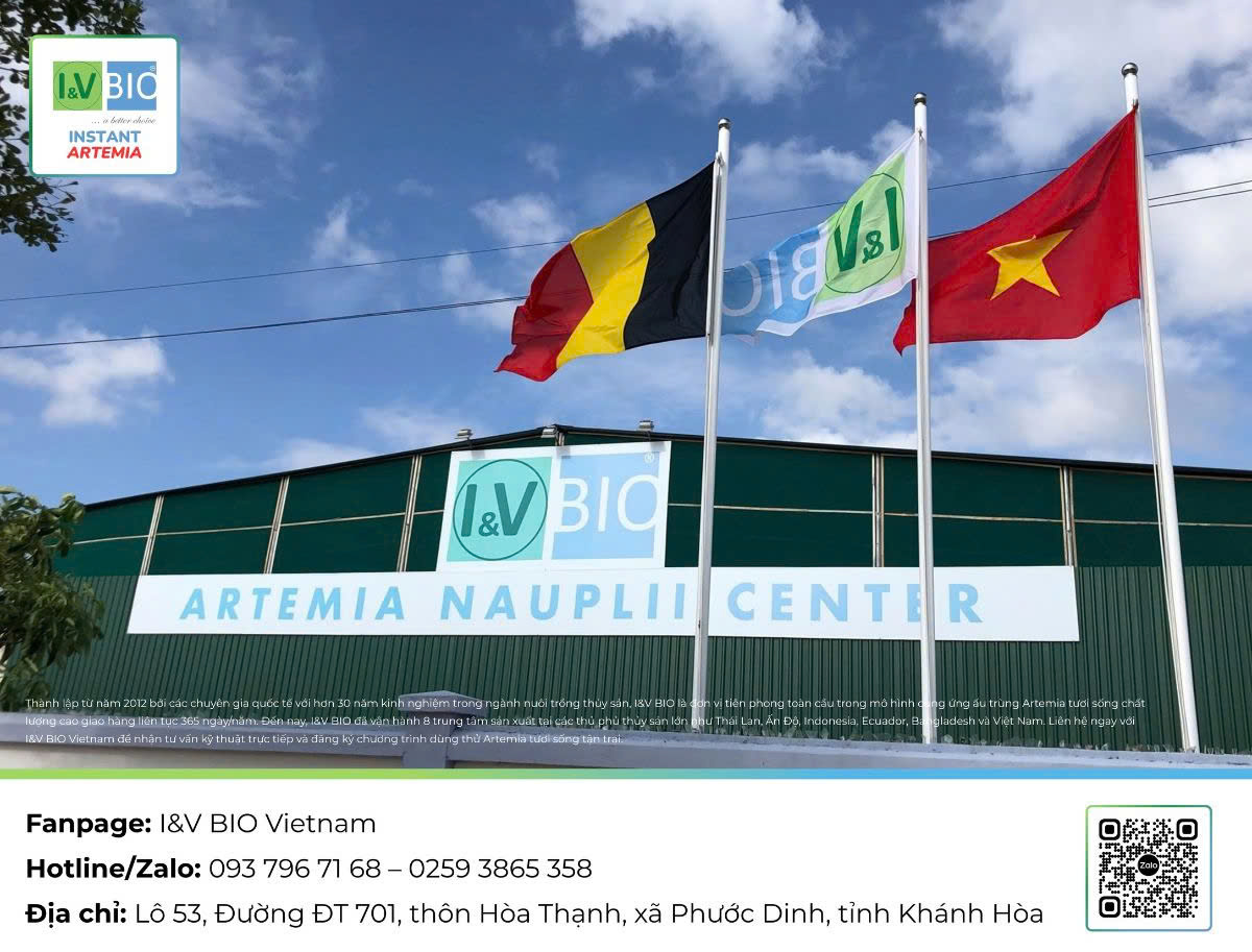 Artemia-tươi-sống-cho-tom-ca-thức-ăn-tươi-sống-cho-tôm-cá-giống-artemia-instart-1-Artemia-instart-energy-artemia-i-and-v-bio-vietnam-artemia-cho-tom-bo-me-cung-cap-artemia-tuoi-song