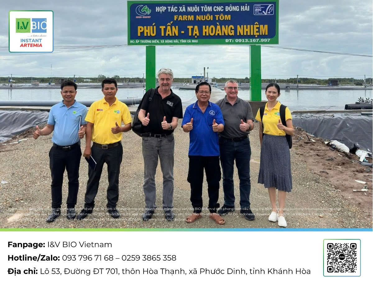 Artemia-tươi-sống-cho-tom-ca-thức-ăn-tươi-sống-cho-tôm-cá-giống-artemia-instart-1-Artemia-instart-energy-artemia-i-and-v-bio-vietnam-artemia-cho-tom-bo-me-cung-cap-artemia-tuoi-song