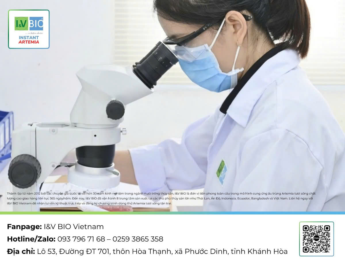 Artemia-tươi-sống-cho-tom-ca-thức-ăn-tươi-sống-cho-tôm-cá-giống-artemia-instart-1-Artemia-instart-energy-artemia-i-and-v-bio-vietnam-artemia-cho-tom-bo-me-cung-cap-artemia-tuoi-song